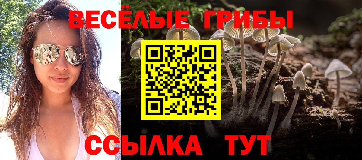 Галлюциногенные грибы Петропавловск-Камчатский