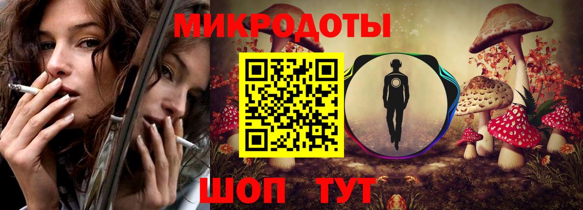 Петропавловск-Камчатский  как найти   Вход с VPN  Псилоцибиновые грибы Psilocybe 